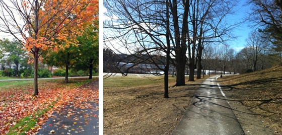 Fall and Winter trees at Wellesley College