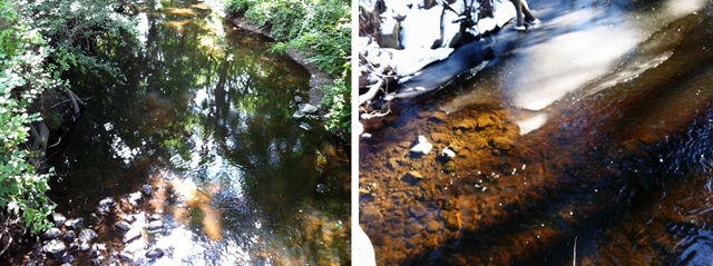 The Fuller Brook Path in Wellesley, Massachusetts in summer and in winter summer winter