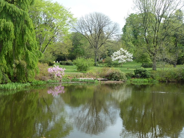 640 willow pond mt auburn 05-2011-4