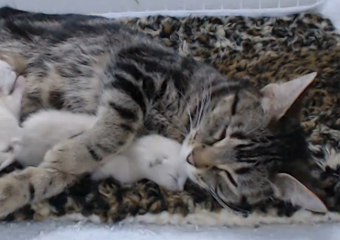 640 ghostbusters cropped mom and peter