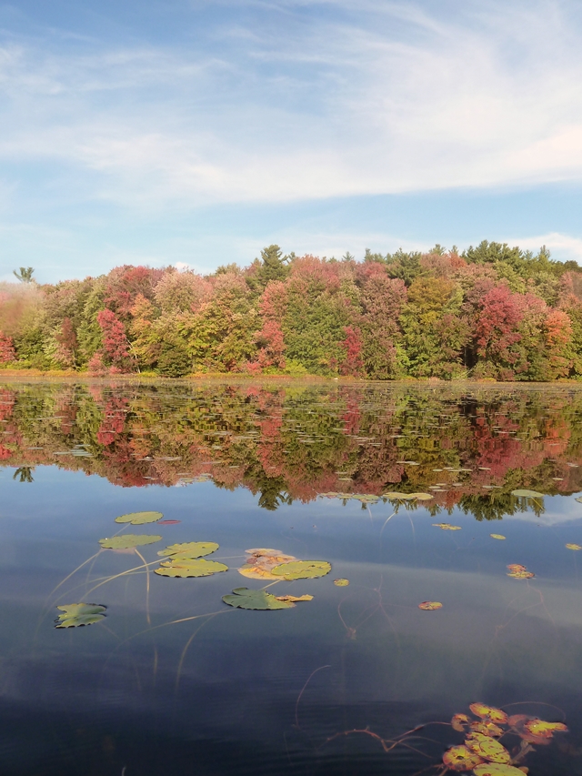 8-640 rocky pond vertical autumn