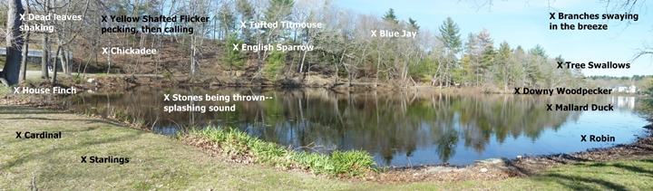 panoramic photo (uses first and third photo)2-720