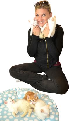 tinykittens shelly roche