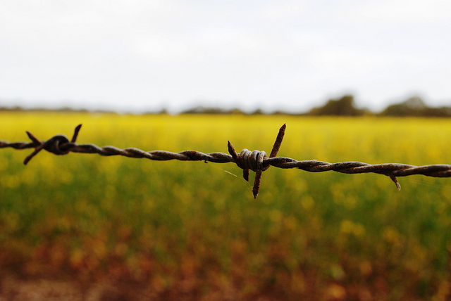 neelaka Fenced off, Flickr Creative Commons