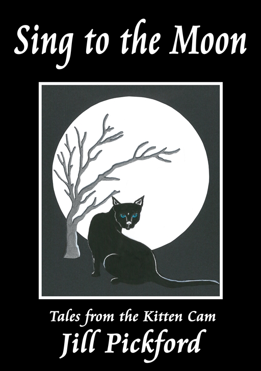 00 FINAL COVER Sing to the Moon cover with drawing-512