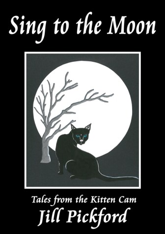 00 FINAL COVER Sing to the Moon cover with drawing-512